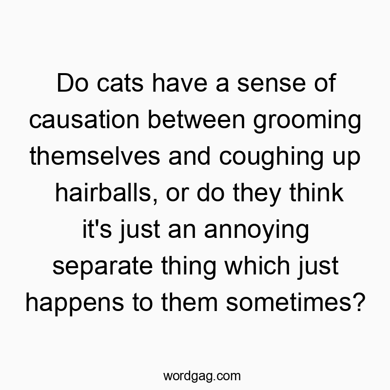 Witty text pondering if cats link grooming to hairballs or see them as random annoyances.