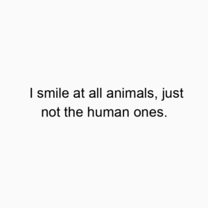 I smile at all animals, just not the human ones.