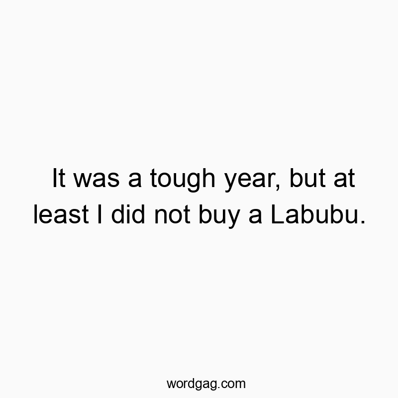 It was a tough year, but at least I did not buy a Labubu.