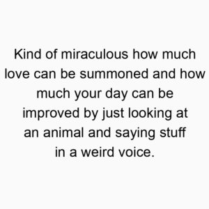 Kind of miraculous how much love can be summoned and how much your day can be improved by just looking at an animal and saying stuff in a weird voice.