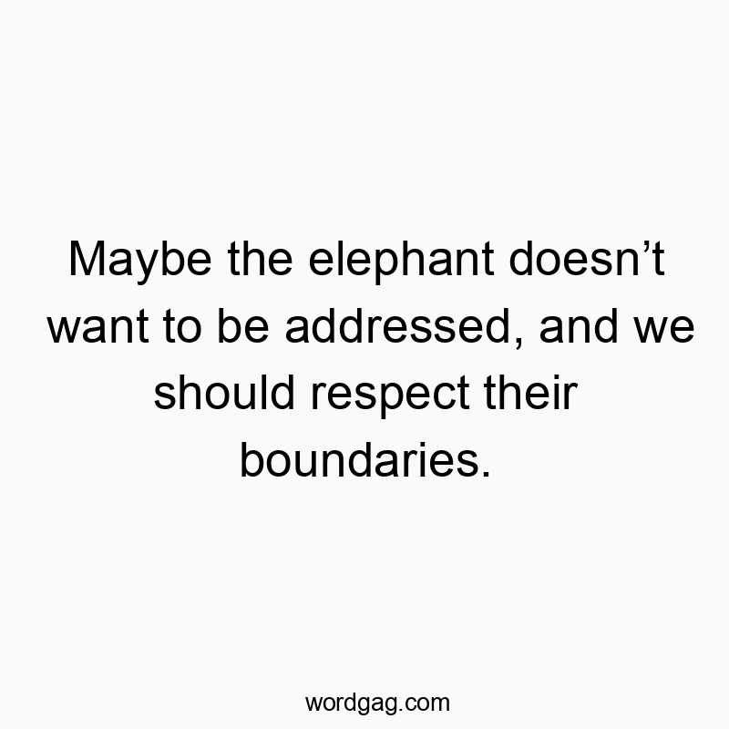 Maybe the elephant doesn’t want to be addressed, and we should respect their boundaries.