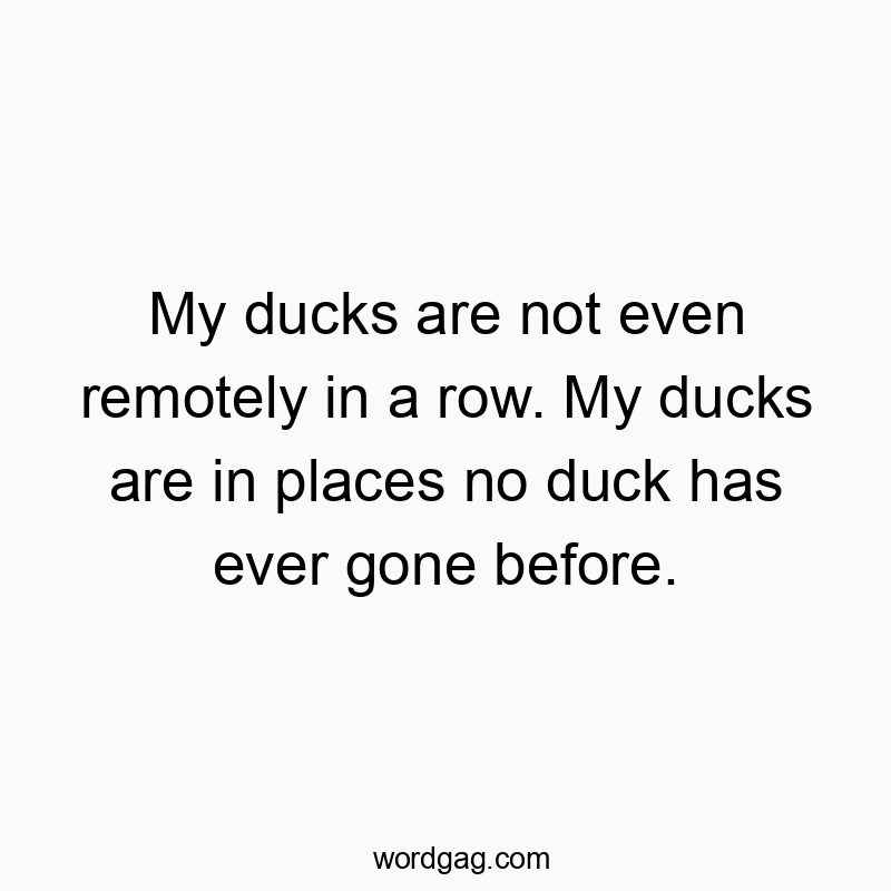 Funny confusion quotes - My ducks are not even remotely in a row. My ducks are in places no duck has ever gone before.