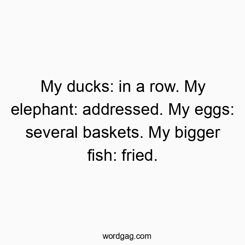 My ducks: in a row. My elephant: addressed. My eggs: several baskets. My bigger fish: fried.