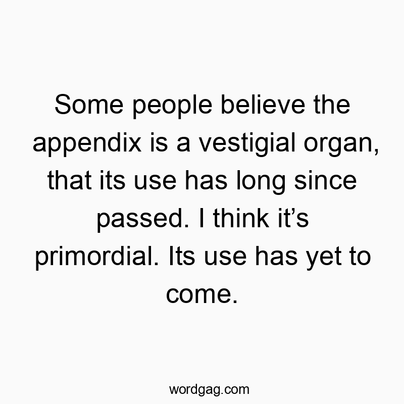Some people believe the appendix is a vestigial organ, that its use has long since passed. I think it’s primordial. Its use has yet to come.