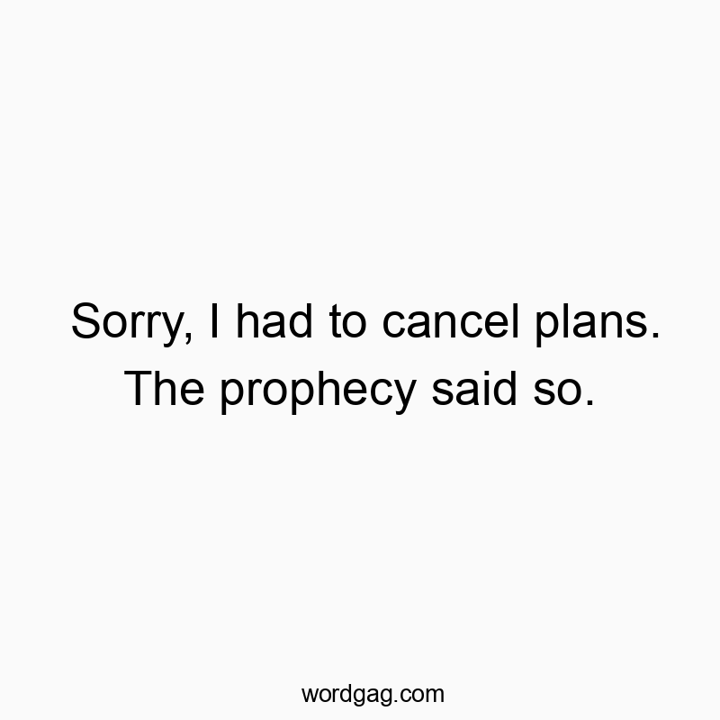 Sorry, I had to cancel plans. The prophecy said so.