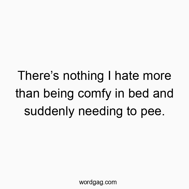There’s nothing I hate more than being comfy in bed and suddenly needing to pee.