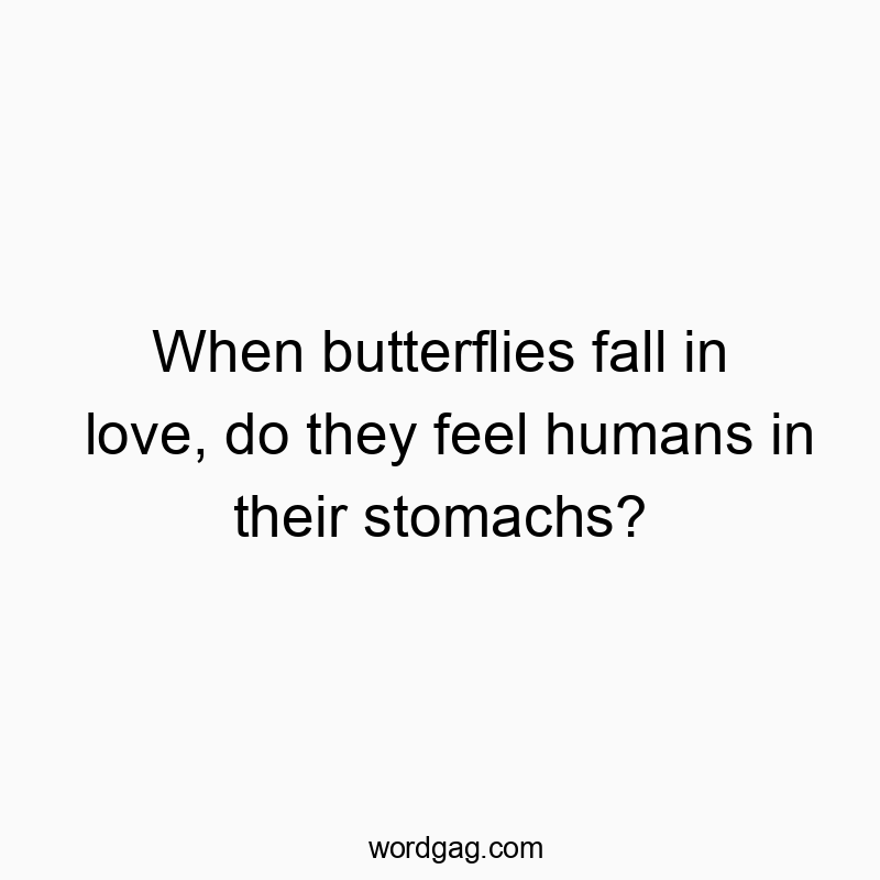 Witty quote pondering butterflies' feelings, playful and humorous in tone.