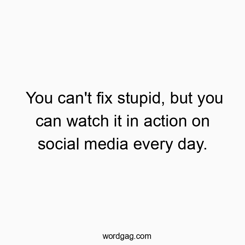Witty quote about social media showcasing humorous stupidity in action.