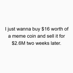 I just wanna buy $16 worth of a meme coin and sell it for $2.6M two weeks later.