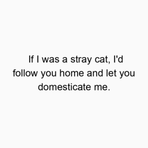 If I was a stray cat, I’d follow you home and let you domesticate me.