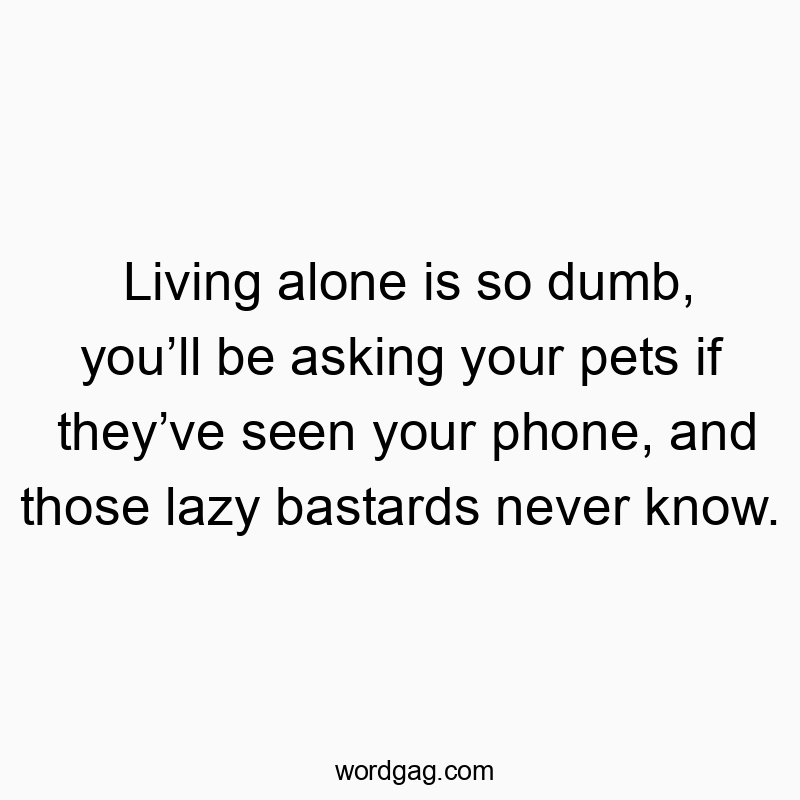 Living alone is so dumb, you’ll be asking your pets if they’ve seen your phone, and those lazy bastards never know.