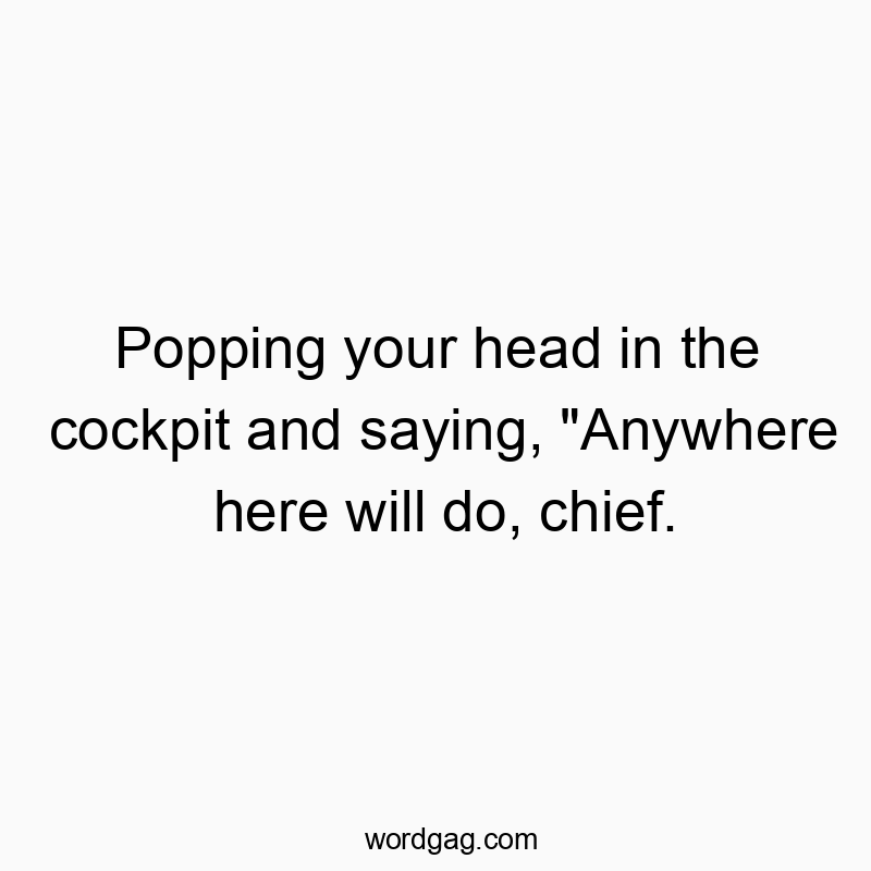 Humorous text about casual flight attitude, playful and witty aviation joke.