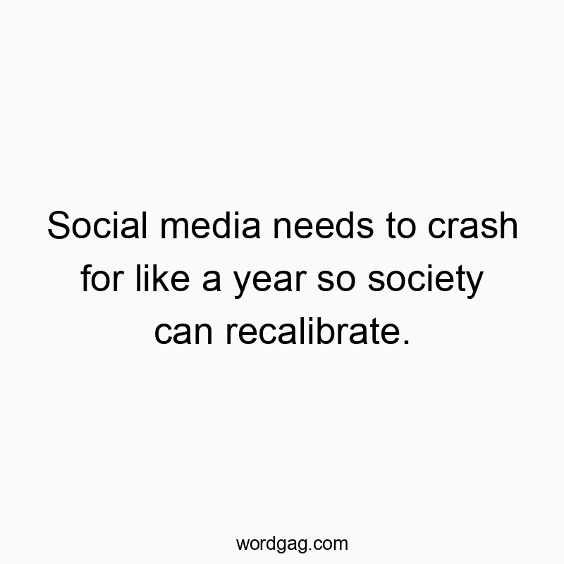 Social media needs to crash for like a year so society can recalibrate.
