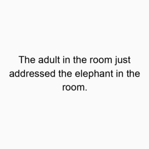 The adult in the room just addressed the elephant in the room.