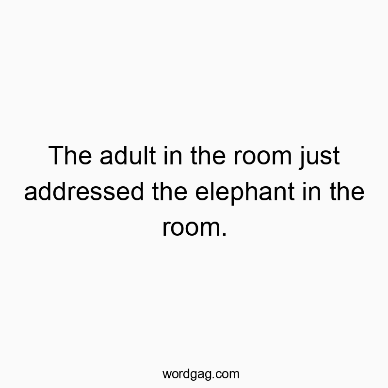 The adult in the room just addressed the elephant in the room.