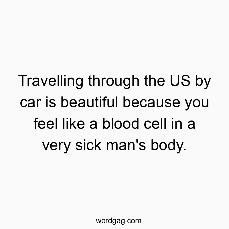 Travelling through the US by car is beautiful because you feel like a blood cell in a very sick man’s body.