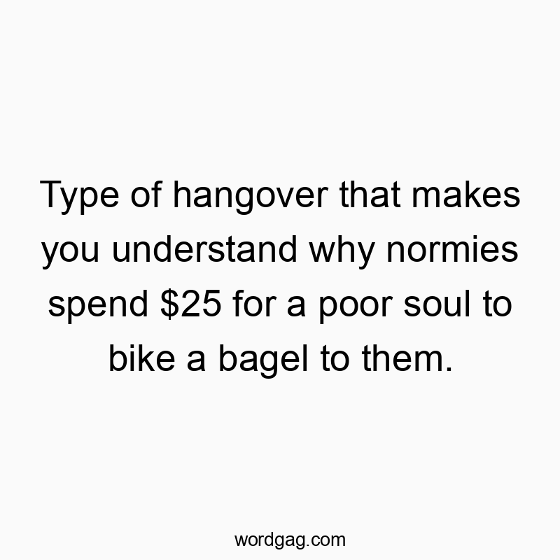 Type of hangover that makes you understand why normies spend $25 for a poor soul to bike a bagel to them.