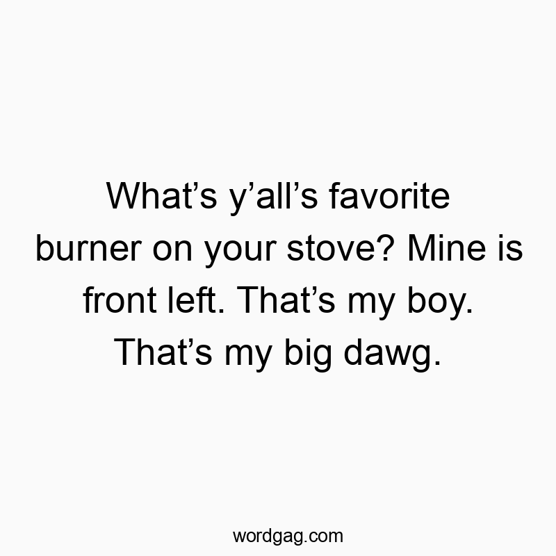 Funny quote about kitchen favorites, highlighting a playful love for a stove burner.