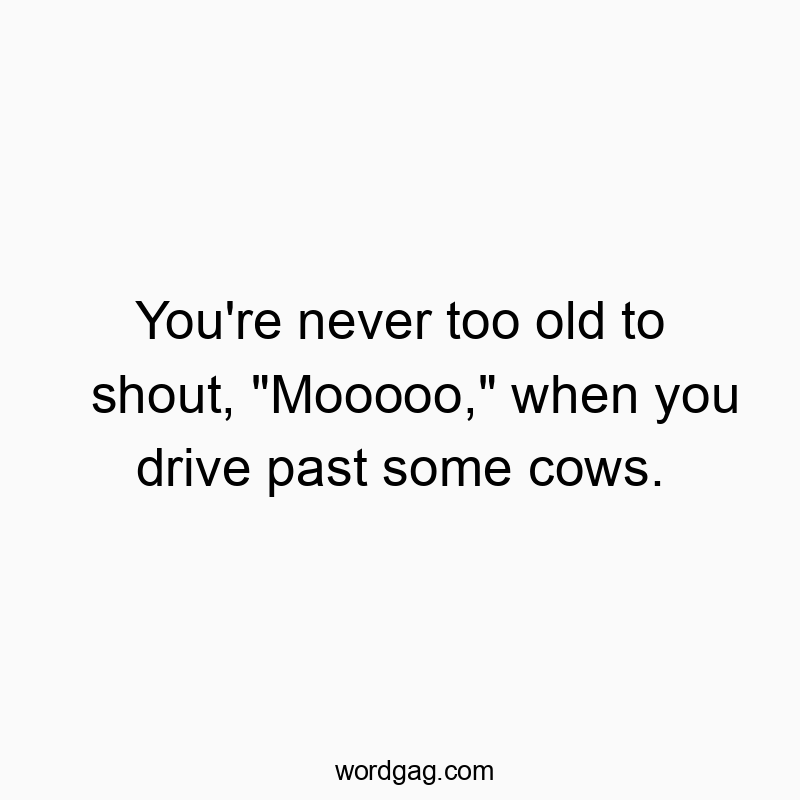 You’re never too old to shout, “Mooooo,” when you drive past some cows.